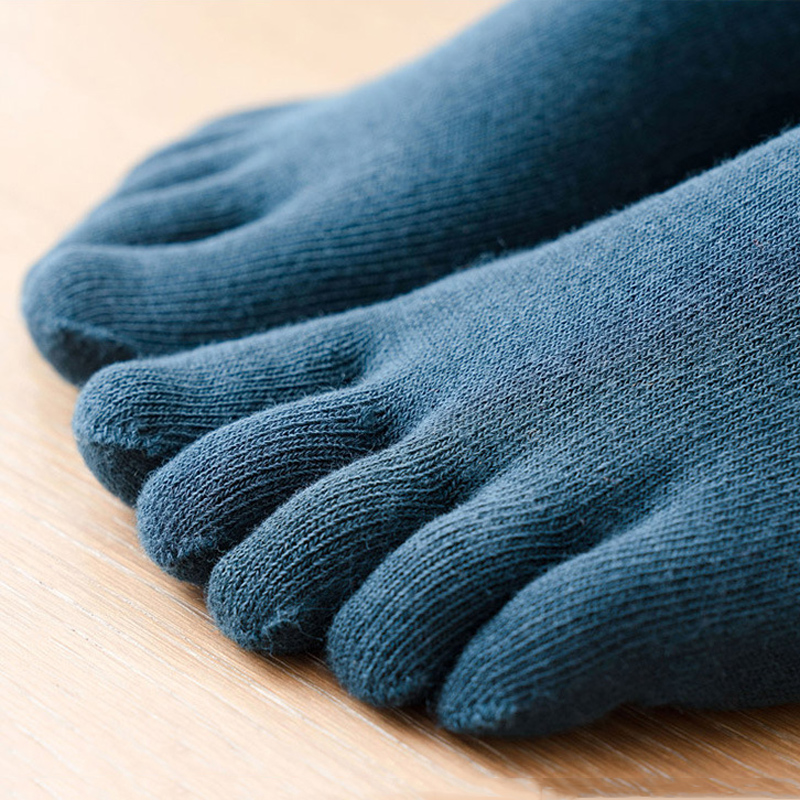 1/5/10/20 Pairs Neutral Summer - No Show Sock Women のレビューと価格