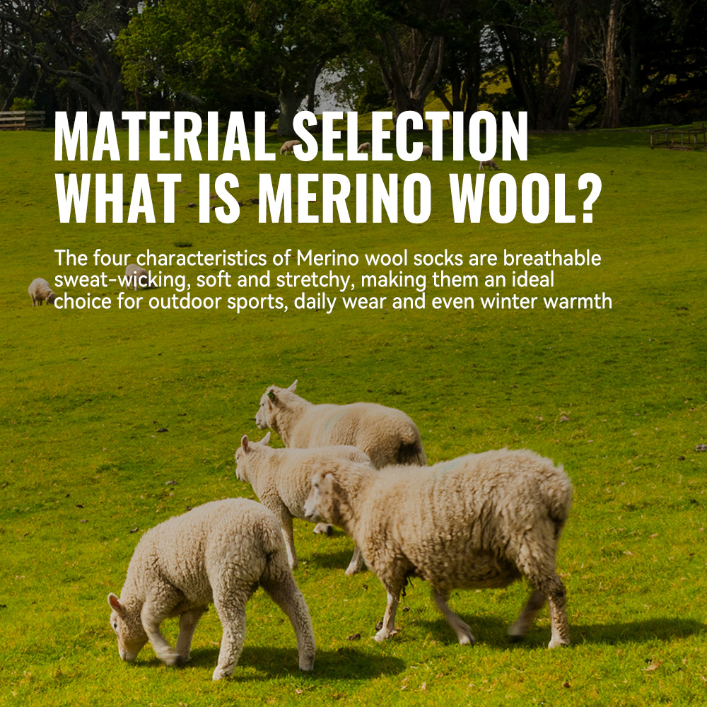 WRELS 1/2/3 Merino Wool Socks  - Thermal Sock Winter のレビューと価格